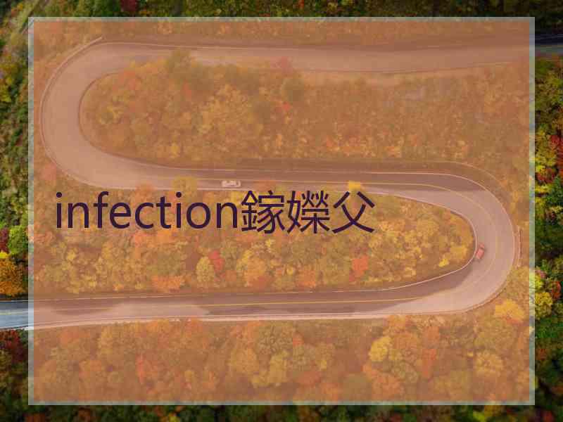 infection鎵嬫父