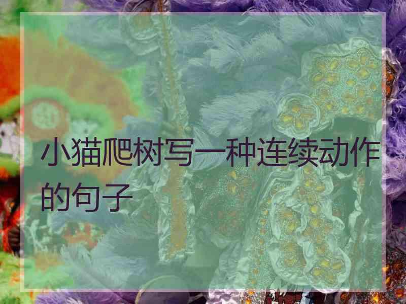 小猫爬树写一种连续动作的句子