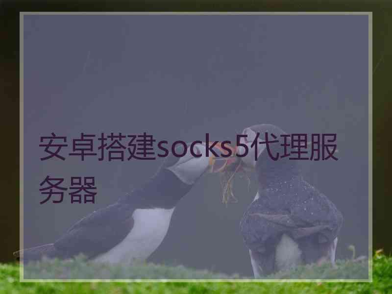 安卓搭建socks5代理服务器