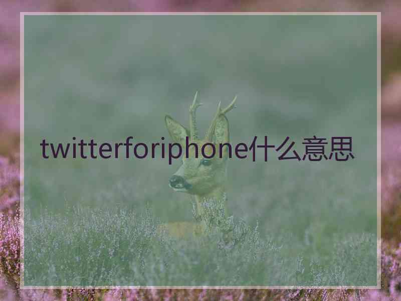 twitterforiphone什么意思