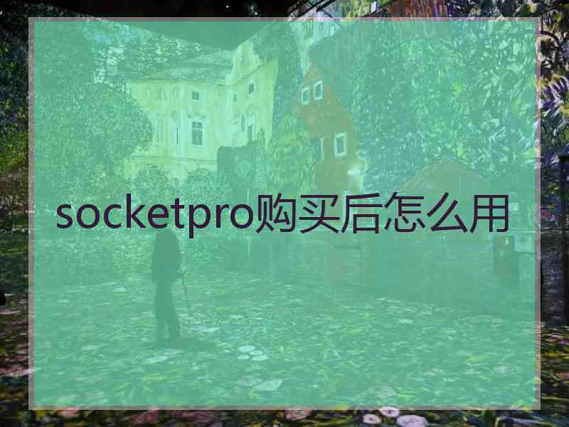 socketpro购买后怎么用