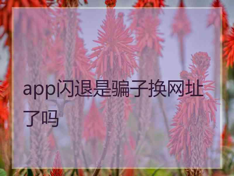 app闪退是骗子换网址了吗