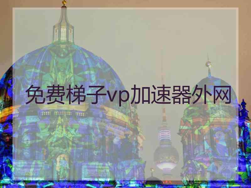 免费梯子vp加速器外网