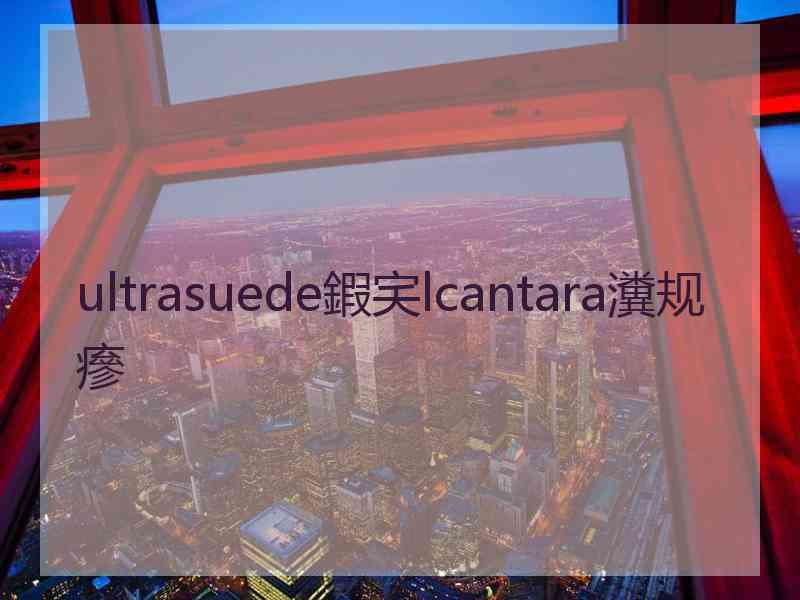 ultrasuede鍜宎lcantara瀵规瘮