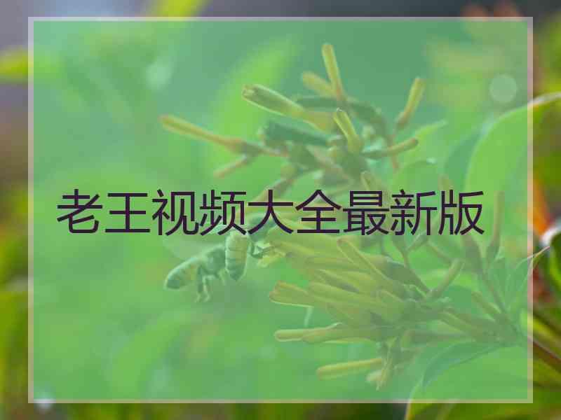 老王视频大全最新版