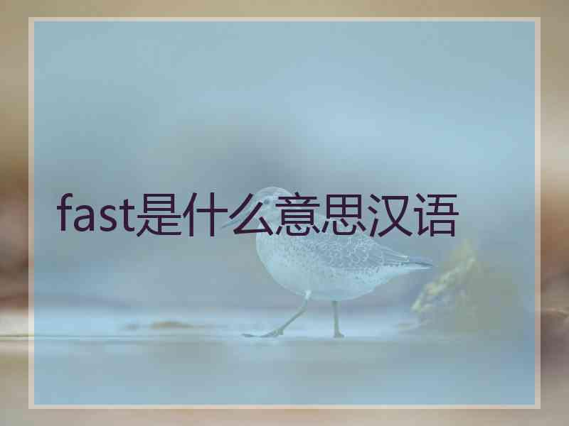 fast是什么意思汉语