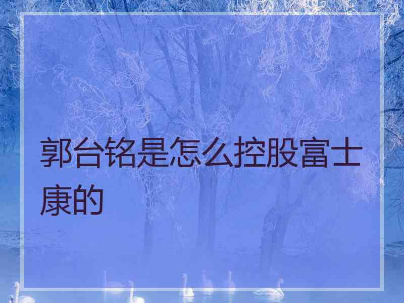 郭台铭是怎么控股富士康的