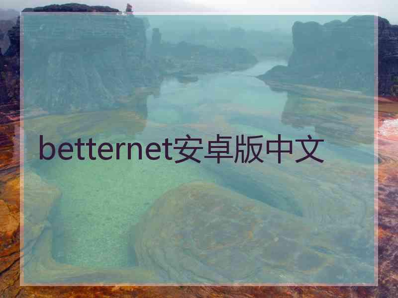 betternet安卓版中文