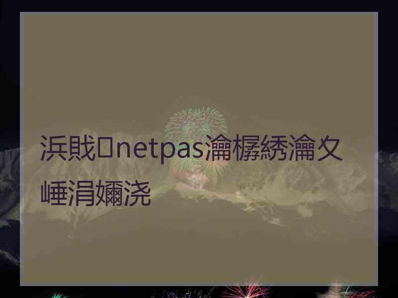 浜戝netpas瀹樼綉瀹夊崜涓嬭浇