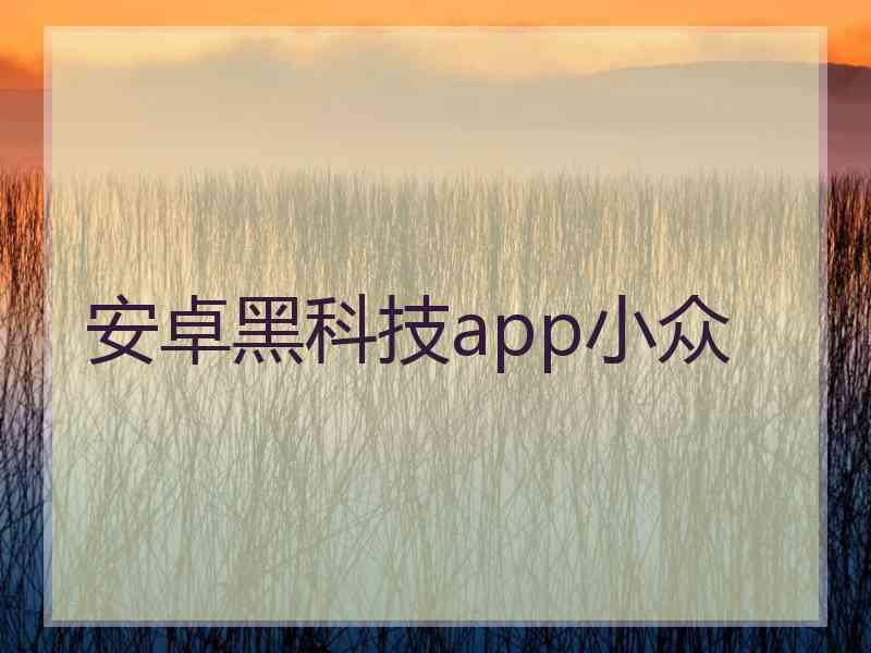 安卓黑科技app小众