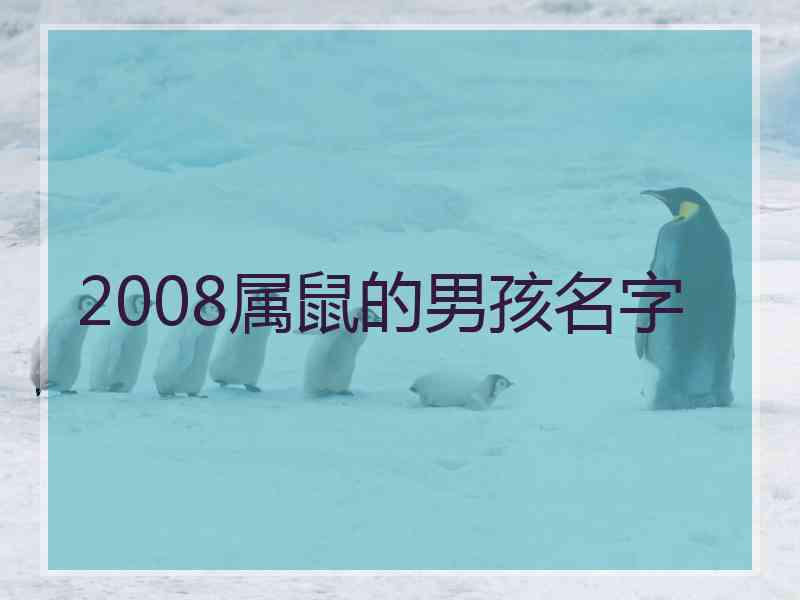 2008属鼠的男孩名字