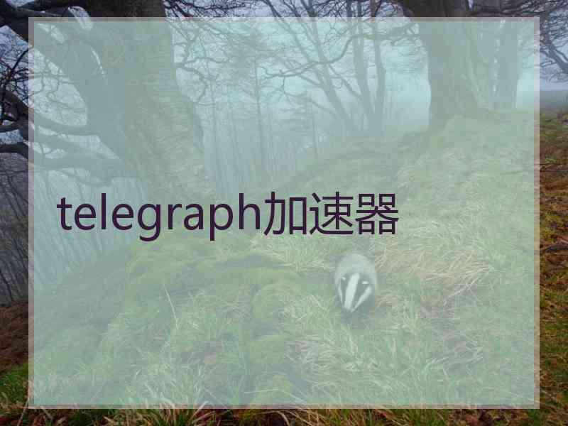 telegraph加速器