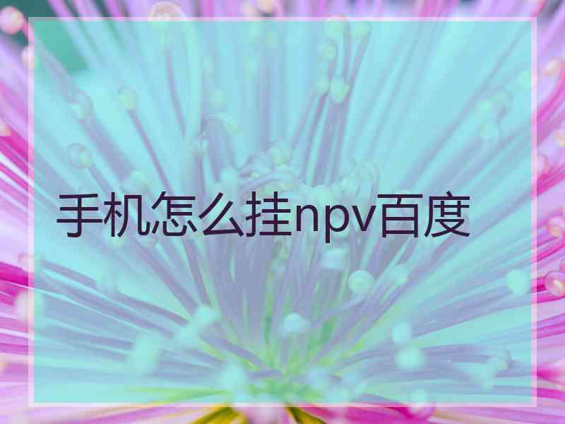 手机怎么挂npv百度