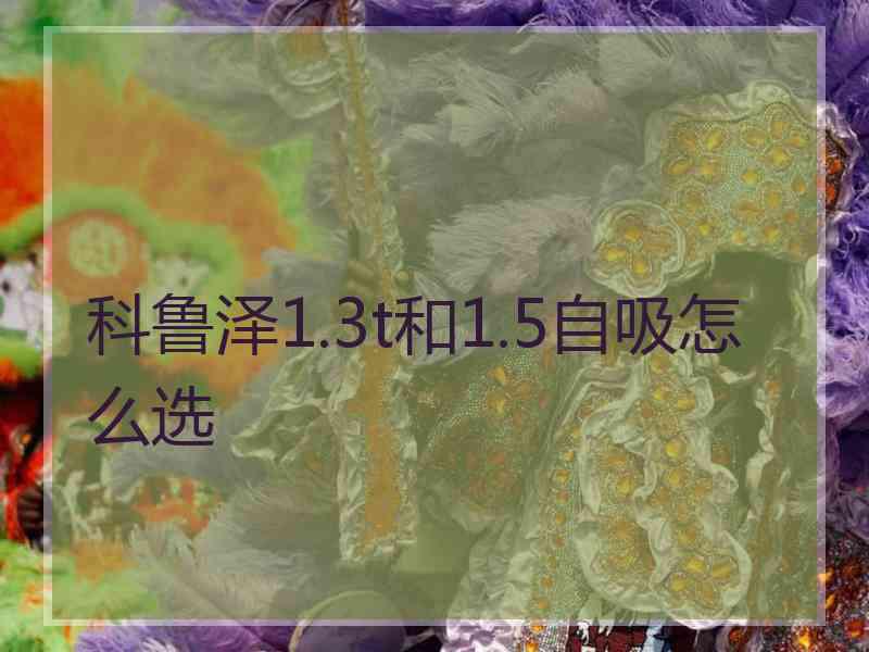 科鲁泽1.3t和1.5自吸怎么选