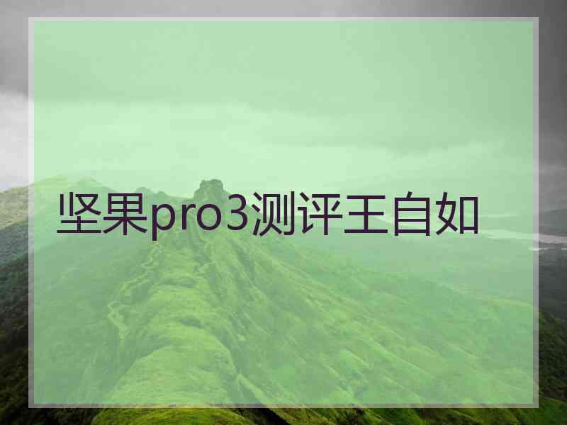 坚果pro3测评王自如