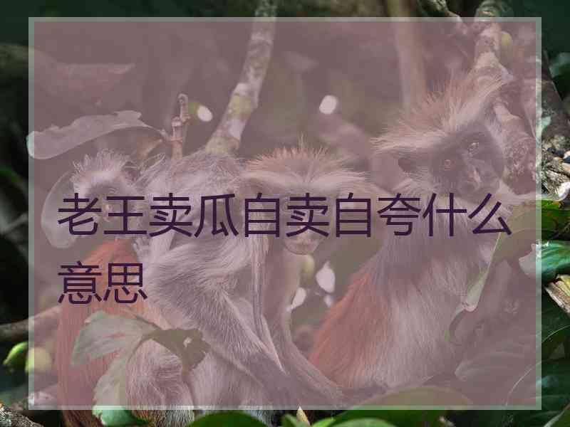 老王卖瓜自卖自夸什么意思