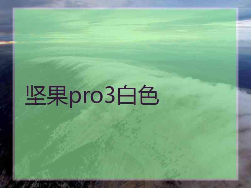 坚果pro3白色