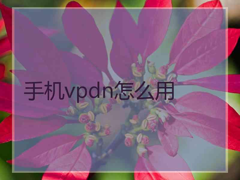 手机vpdn怎么用