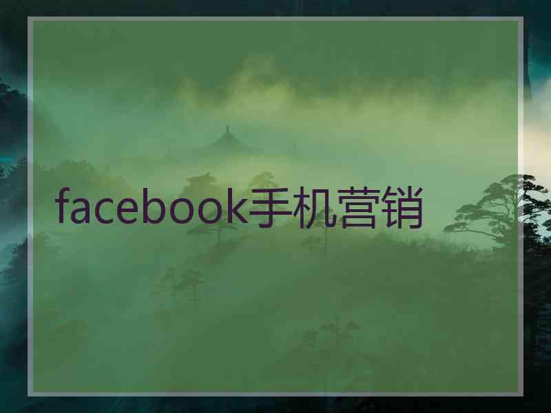 facebook手机营销