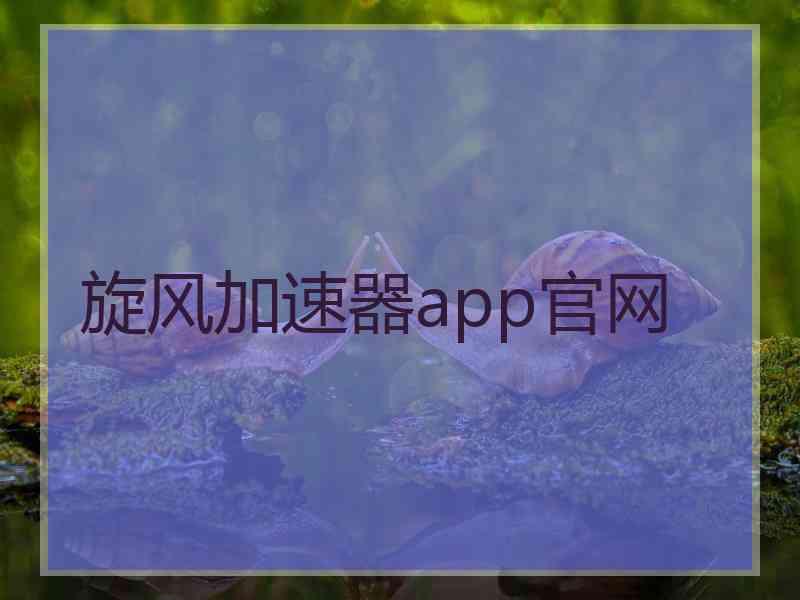 旋风加速器app官网