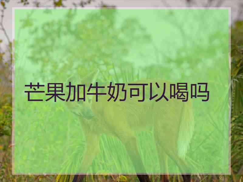 芒果加牛奶可以喝吗