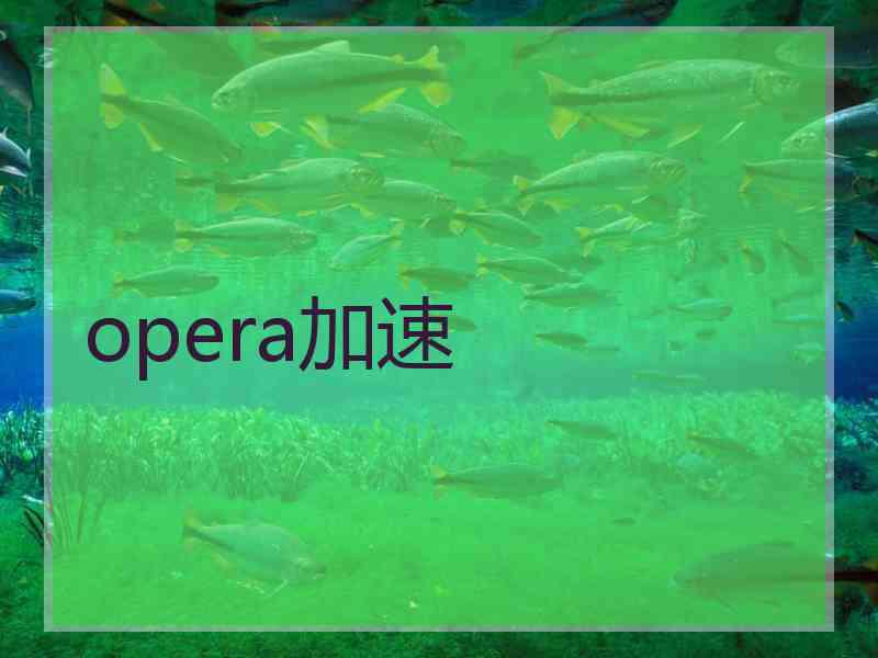 opera加速