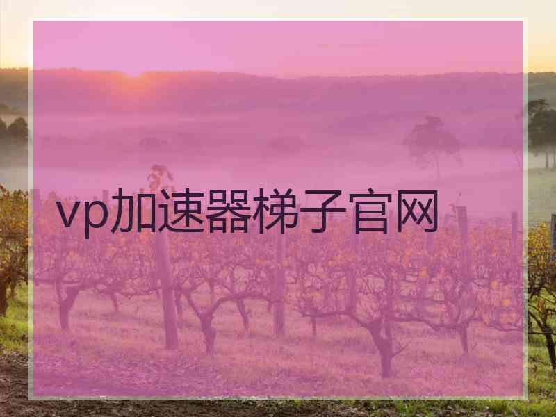 vp加速器梯子官网