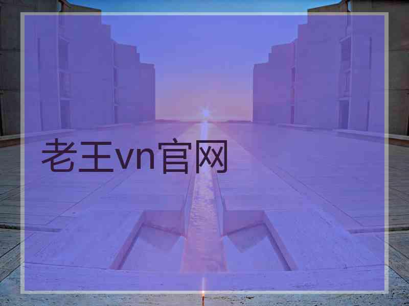 老王vn官网