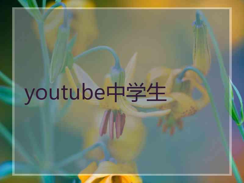 youtube中学生