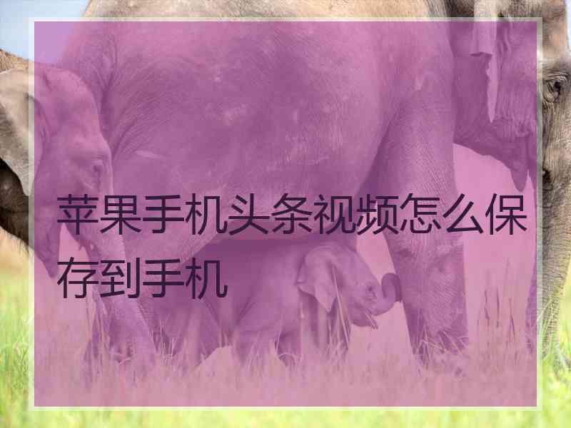 苹果手机头条视频怎么保存到手机