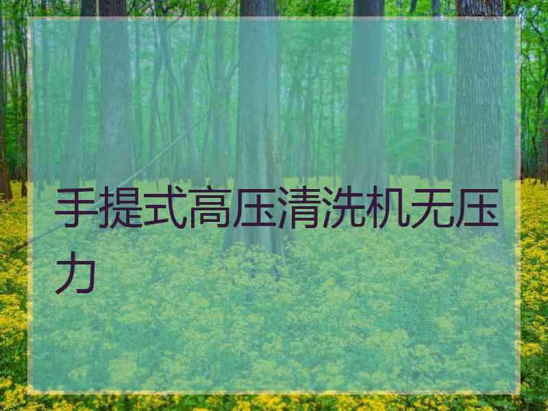 手提式高压清洗机无压力