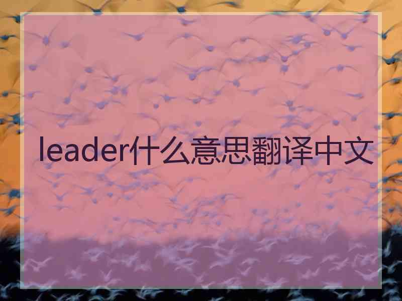 leader什么意思翻译中文