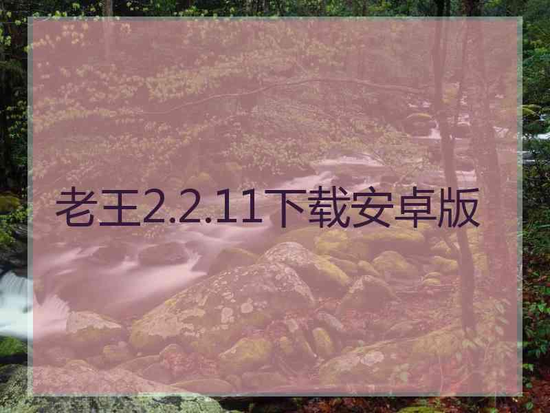 老王2.2.11下载安卓版