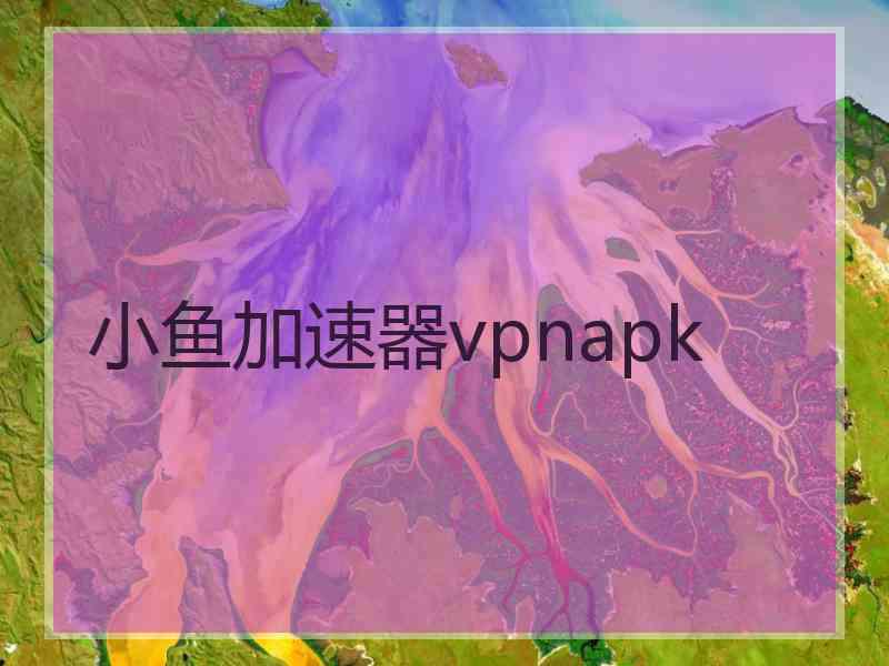 小鱼加速器vpnapk