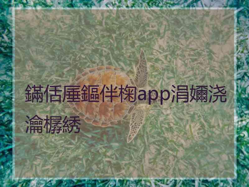 鏋佸厜鏂伴椈app涓嬭浇瀹樼綉