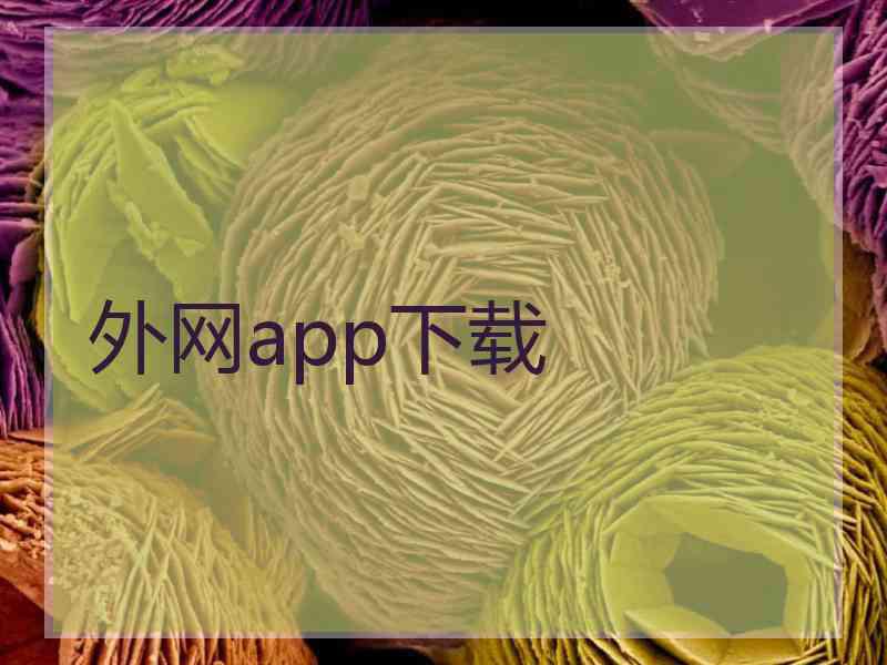 外网app下载