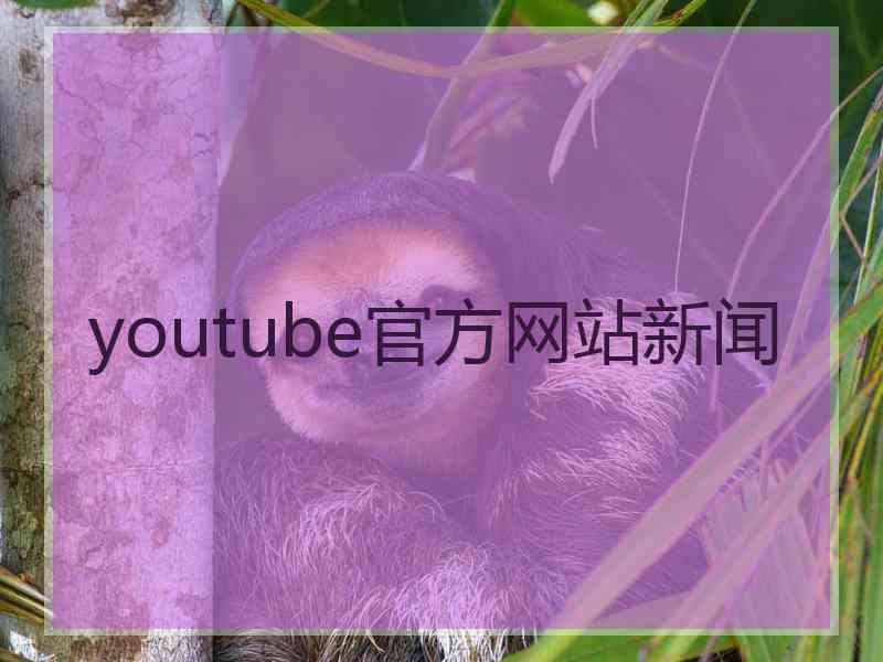 youtube官方网站新闻