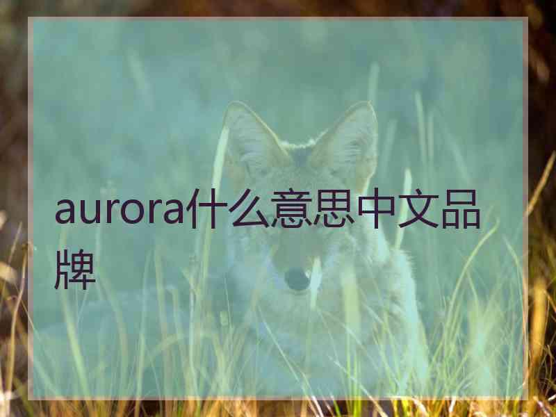 aurora什么意思中文品牌