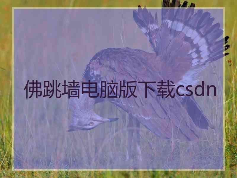 佛跳墙电脑版下载csdn