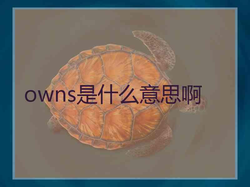 owns是什么意思啊