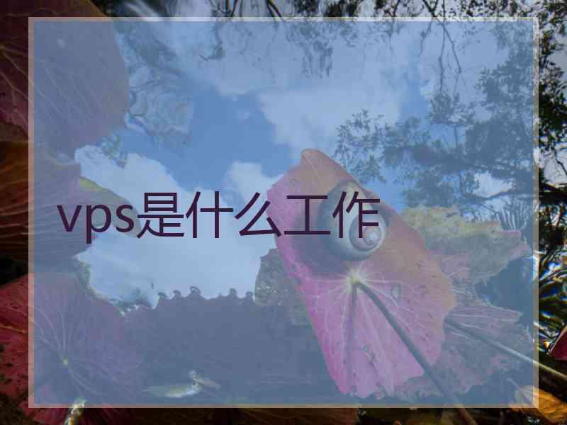 vps是什么工作