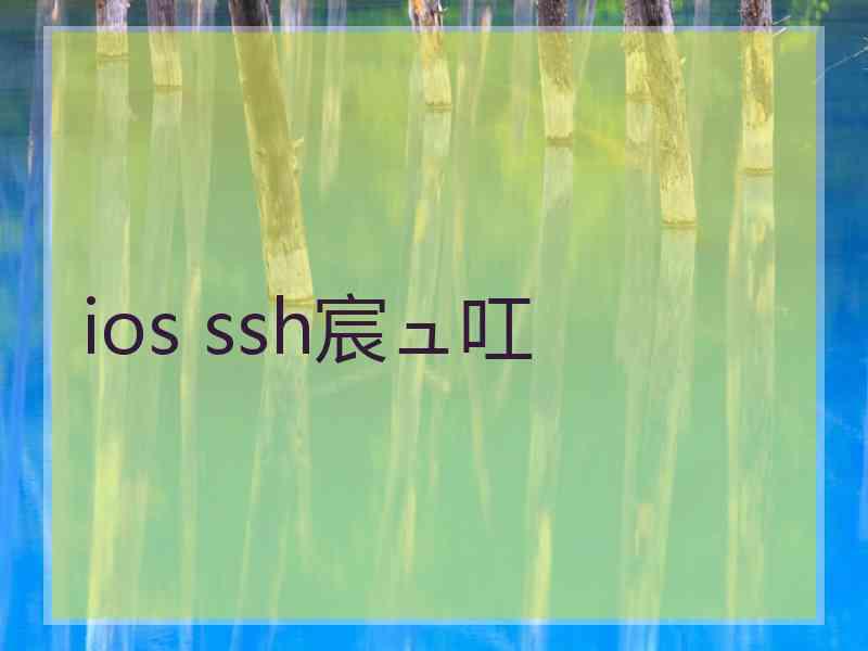 ios ssh宸ュ叿