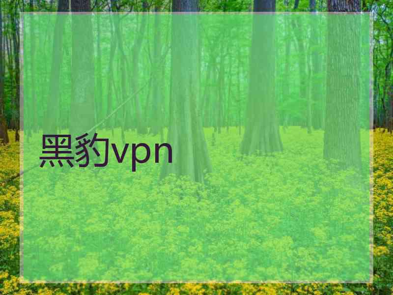 黑豹vpn