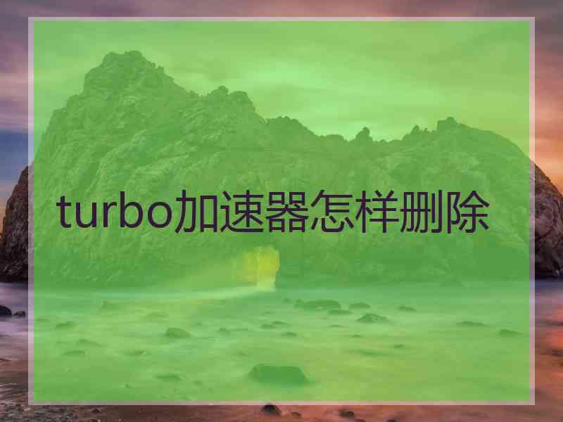 turbo加速器怎样删除