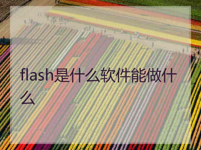 flash是什么软件能做什么