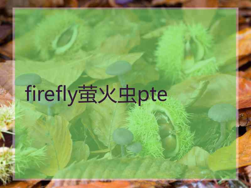 firefly萤火虫pte