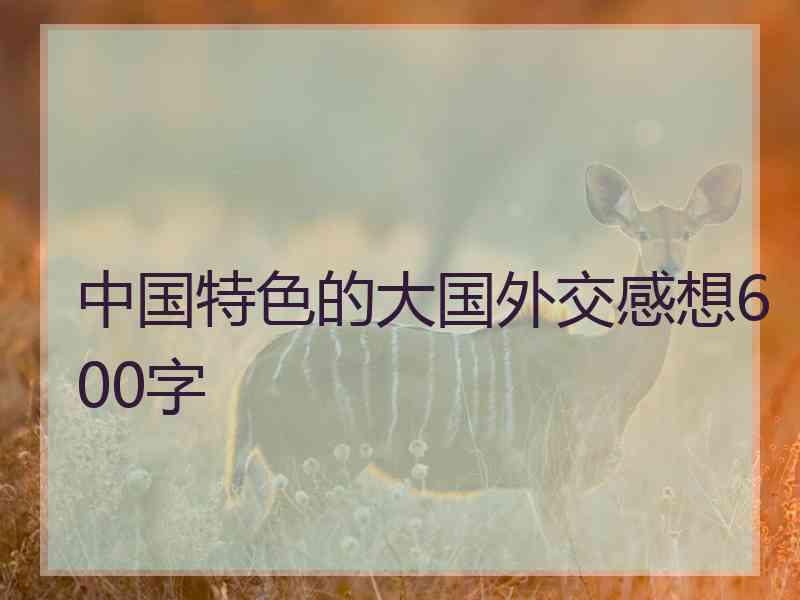 中国特色的大国外交感想600字