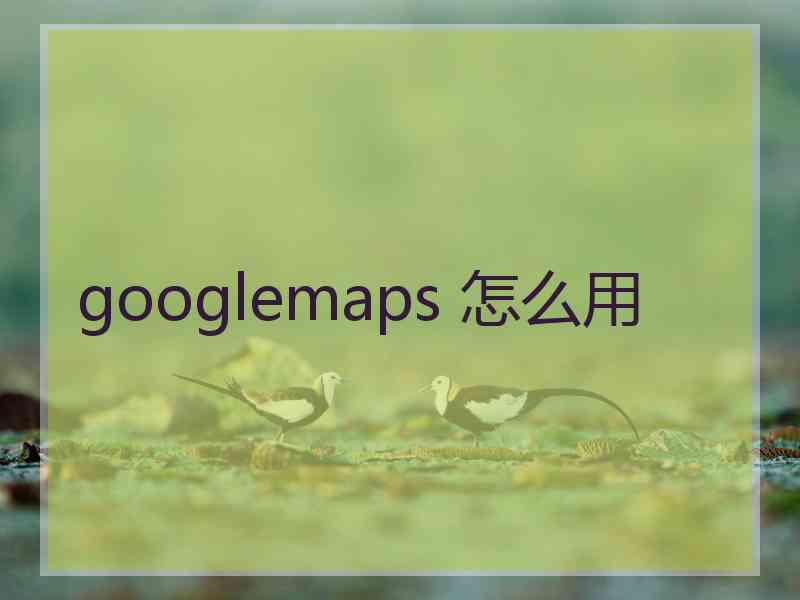 googlemaps 怎么用