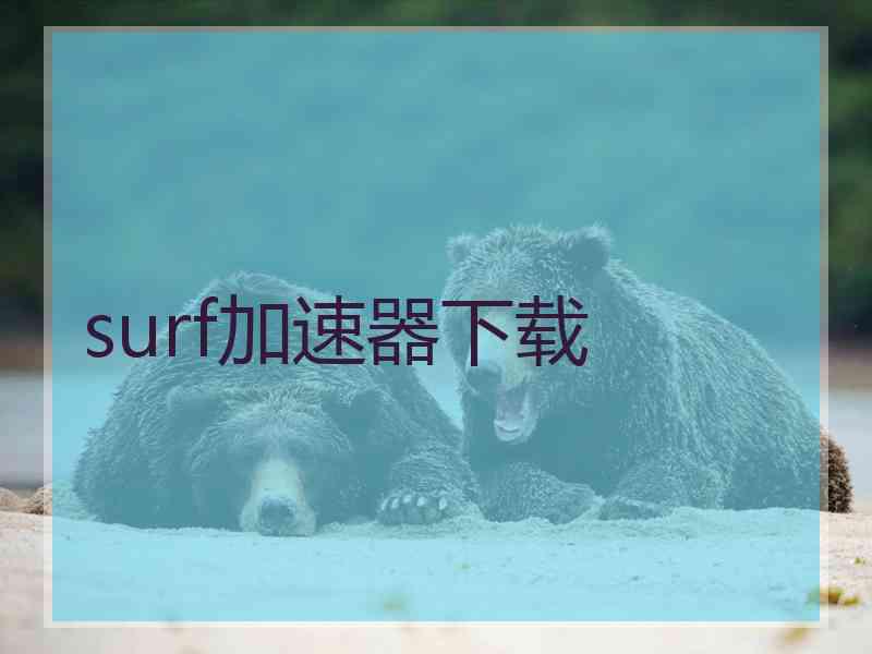 surf加速器下载