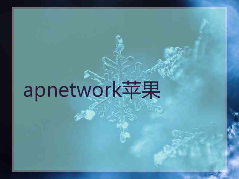 apnetwork苹果